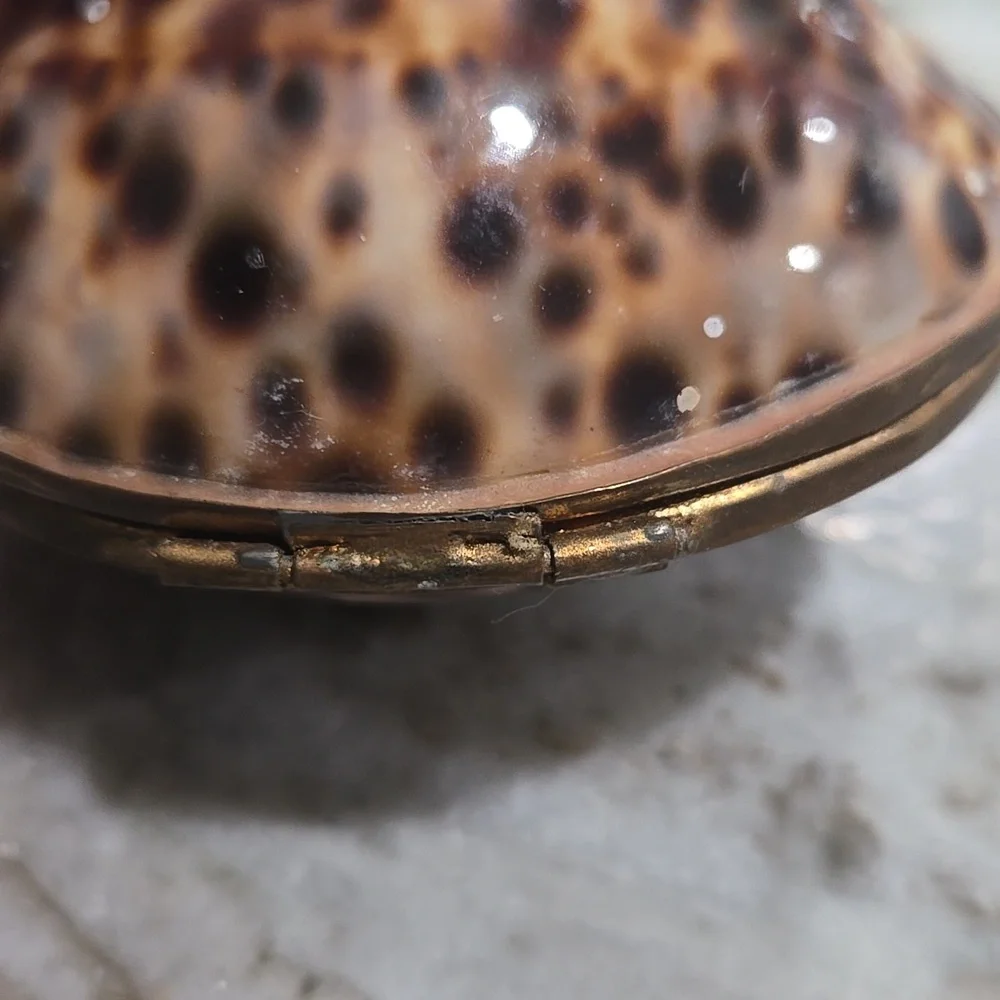 Shell Trinket Box - Picture 5 of 6